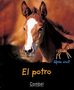 El potro