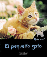 El peque�o gato