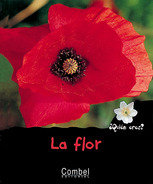 La flor