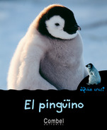 El ping�ino