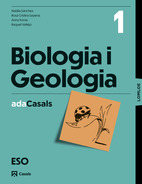 Llibre-Guia