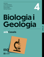 Llibre-Guia